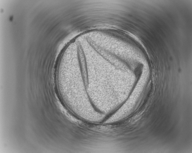 X0000052600995200507292118