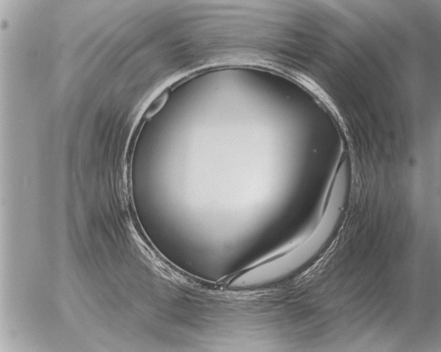 X0000052600996200507292118