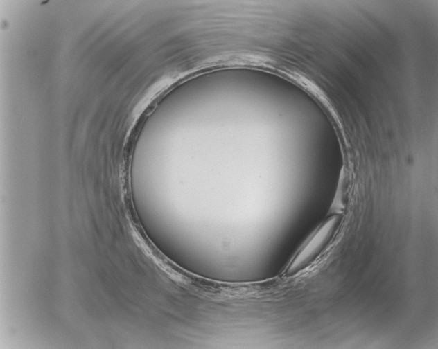 X0000052600997200507292118