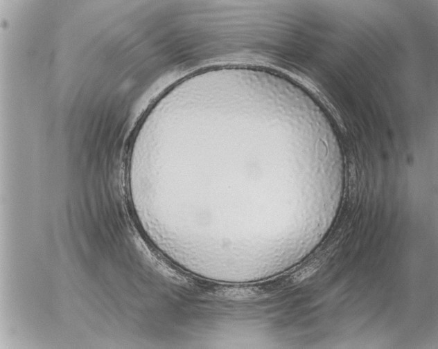 X0000052600998200507292118