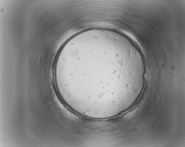 X0000052600999200507292118