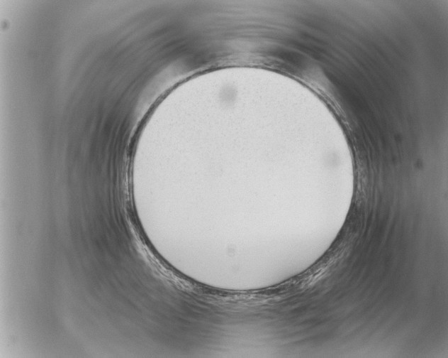 X0000052601000200507292118