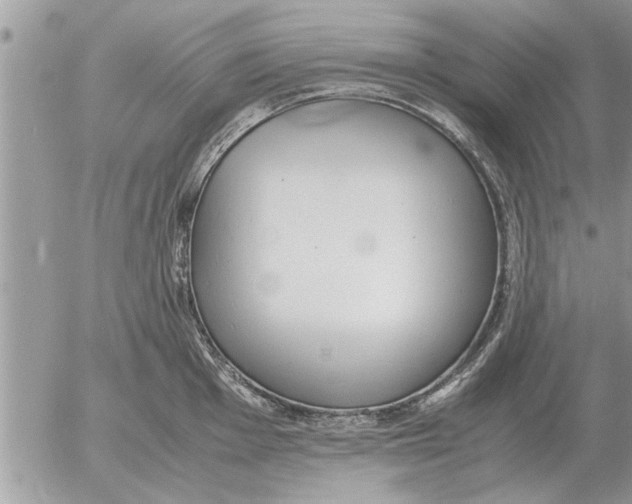 X0000052601001200507292118