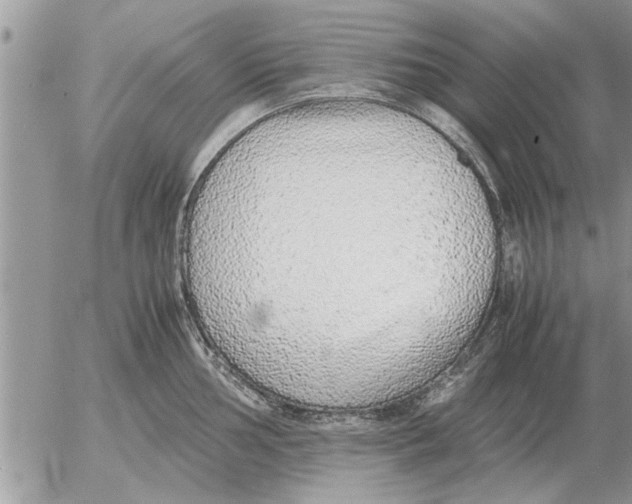 X0000052601002200507292118