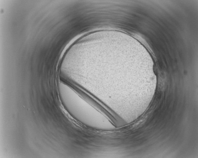 X0000052601004200507292118