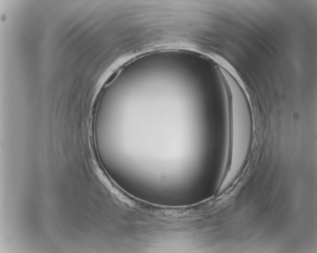 X0000052601005200507292118