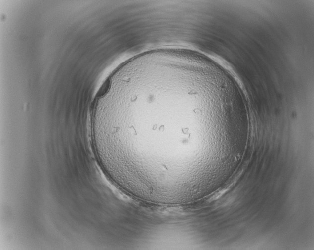 X0000052601006200507292118