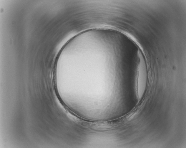 X0000052601007200507292118