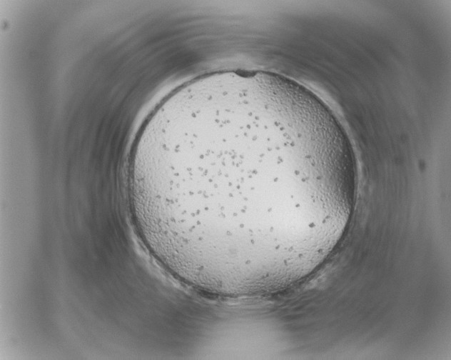 X0000052601008200507292118