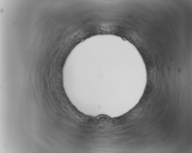 X0000052601009200507292117