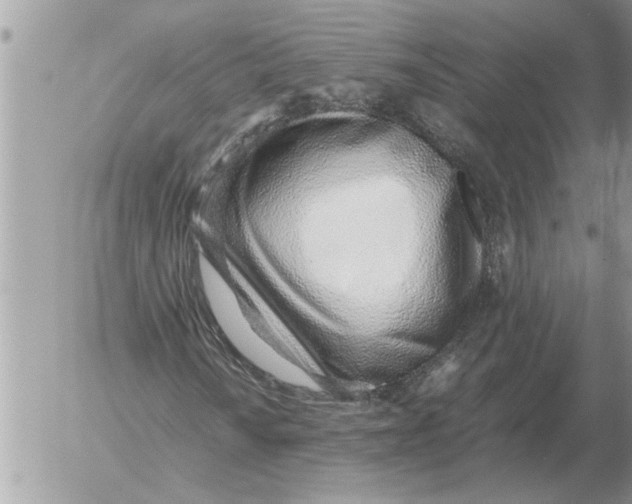 X0000052601010200507292117