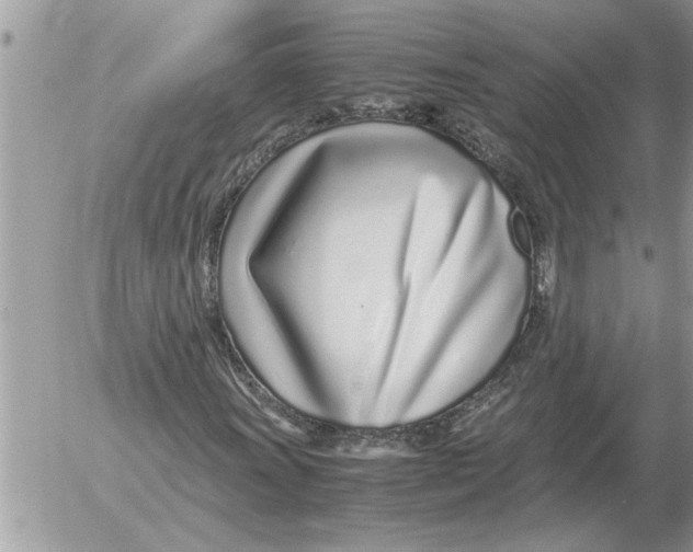 X0000052601011200507292117