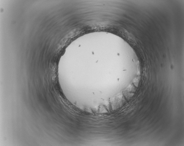 X0000052601012200507292117