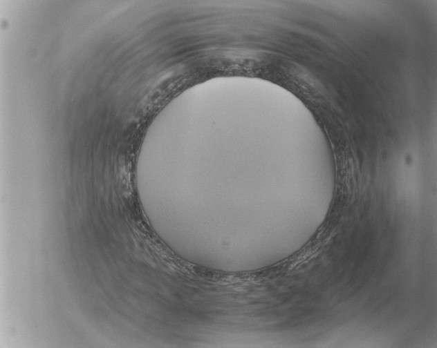 X0000052601013200507292117