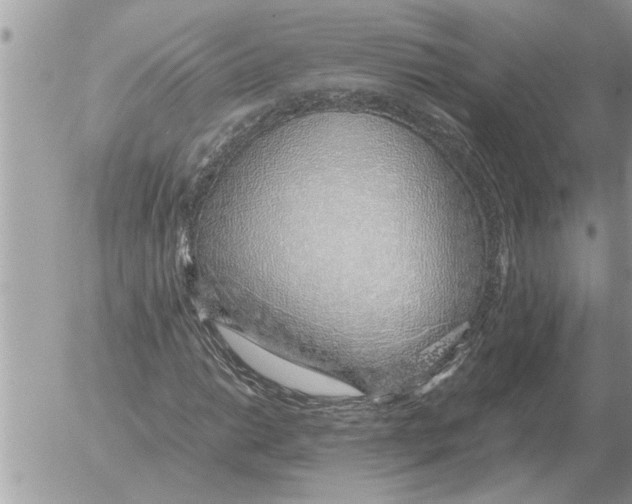 X0000052601014200507292117