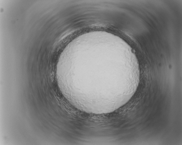 X0000052601015200507292117