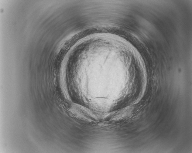 X0000052601016200507292117