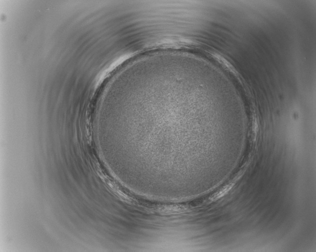 X0000052601018200507292117