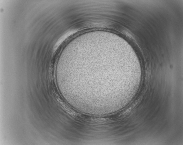 X0000052601019200507292117