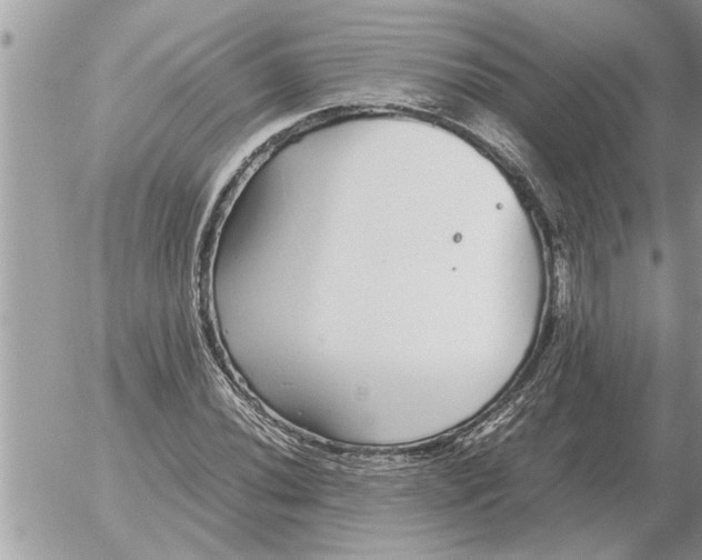 X0000052601020200507292117