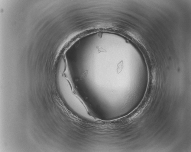 X0000052601021200507292117