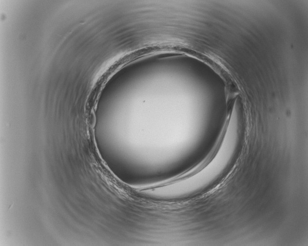 X0000052601022200507292117