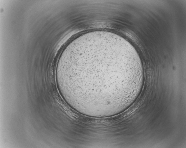 X0000052601023200507292117