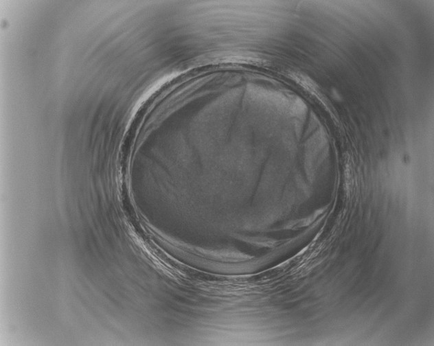 X0000052601024200507292117