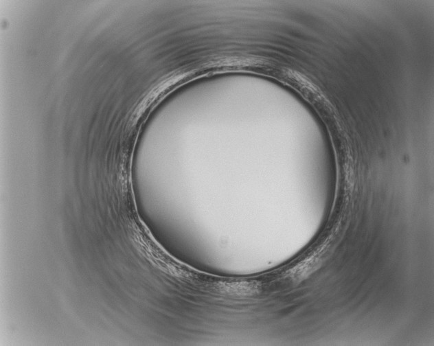 X0000052601025200507292117