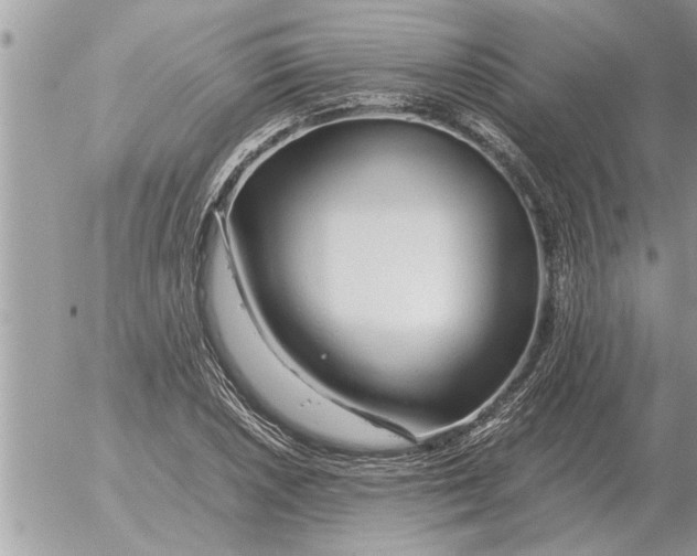 X0000052601026200507292117