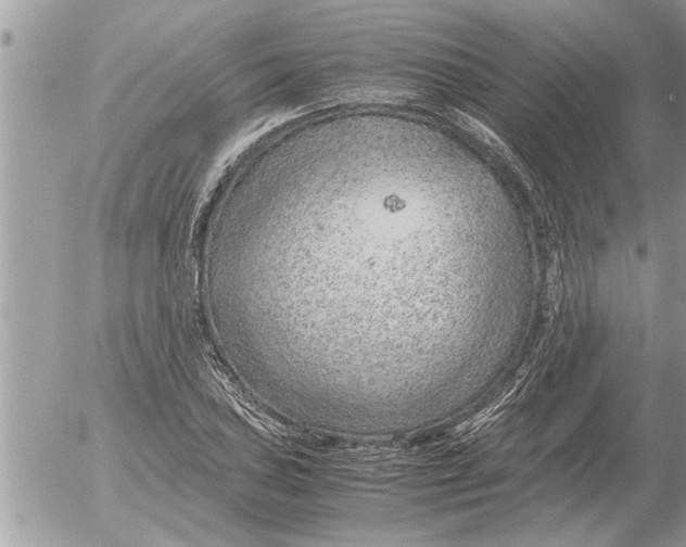 X0000052601027200507292117