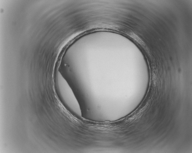 X0000052601028200507292117