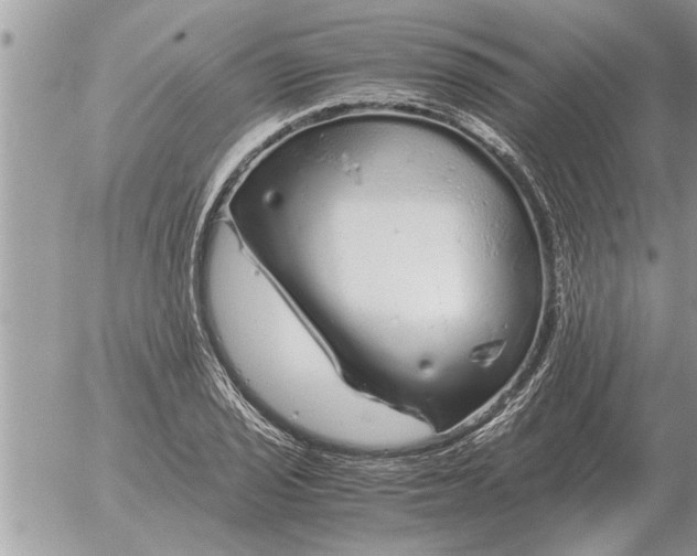 X0000052601029200507292117