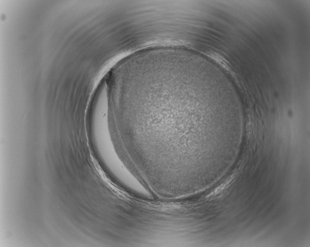 X0000052601030200507292117