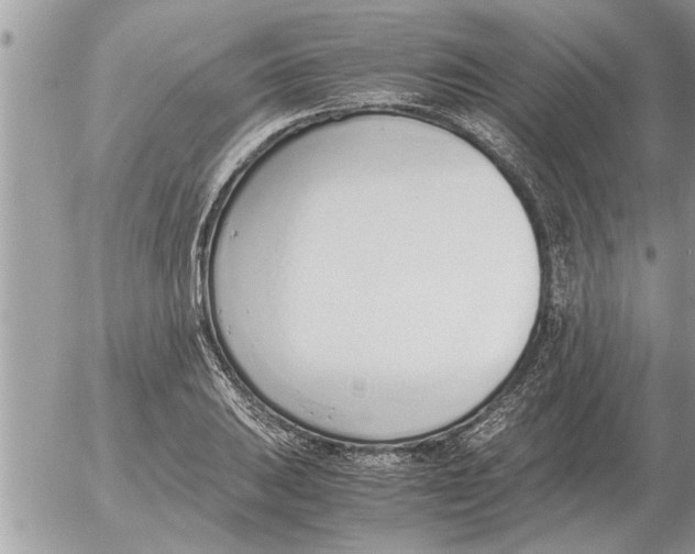 X0000052601031200507292118