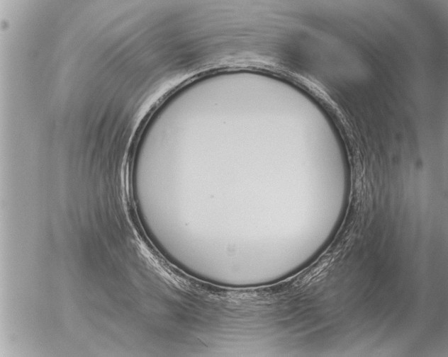 X0000052601032200507292118