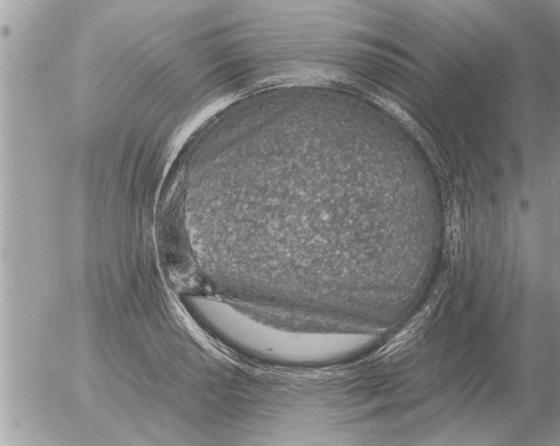 X0000052601034200507292118