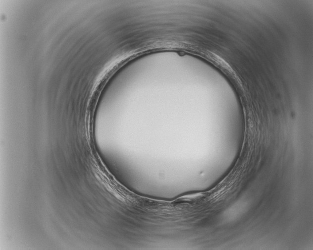 X0000052601035200507292118