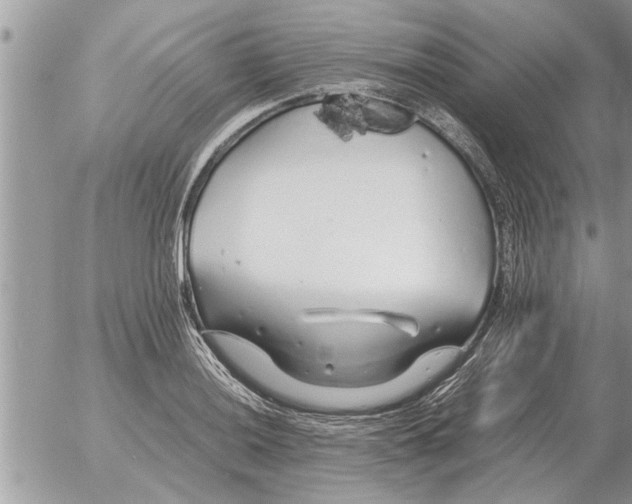 X0000052601036200507292118