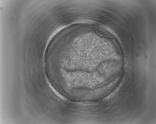 X0000052601037200507292118