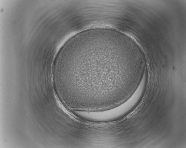 X0000052601038200507292118