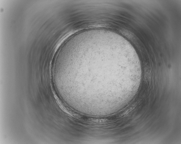 X0000052601039200507292118