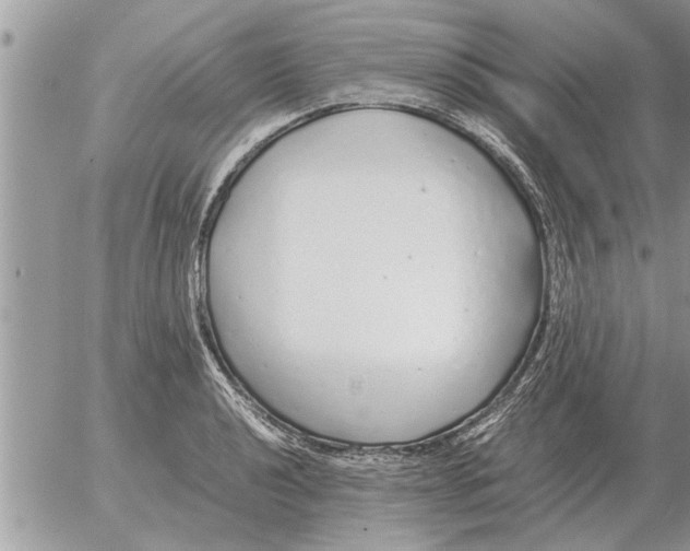 X0000052601040200507292118