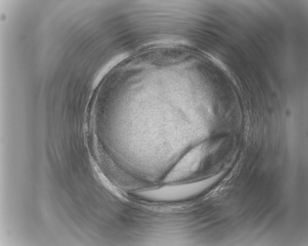 X0000052601042200507292118