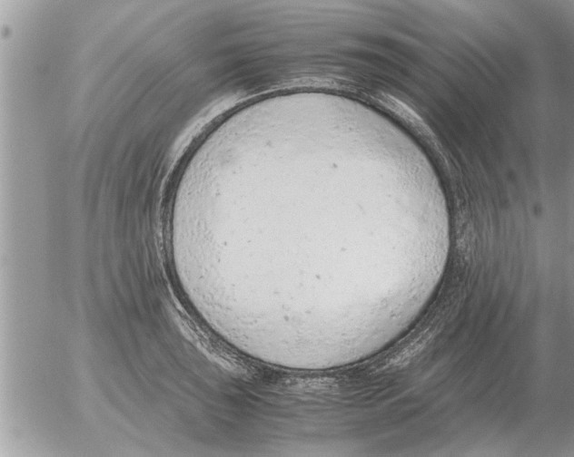 X0000052601043200507292118