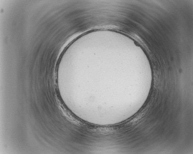 X0000052601044200507292118