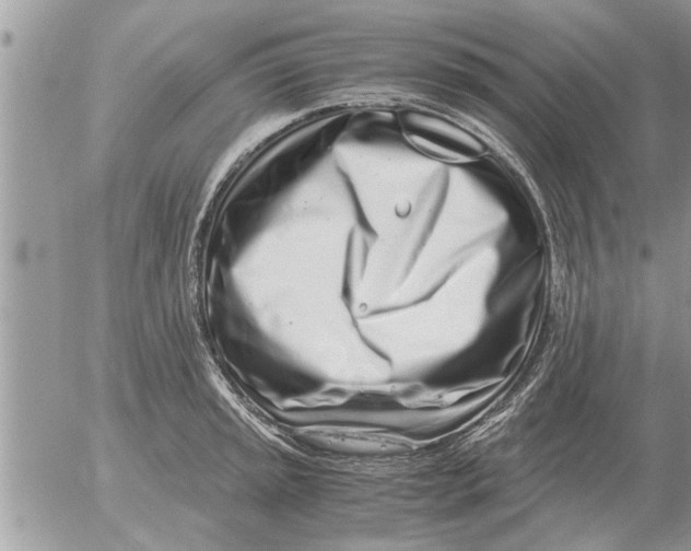 X0000052601045200507292118