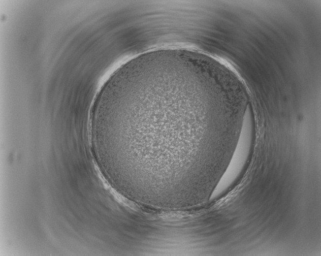 X0000052601046200507292118