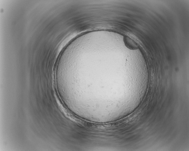 X0000052601047200507292118