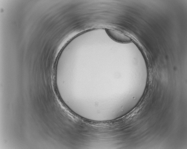 X0000052601048200507292118